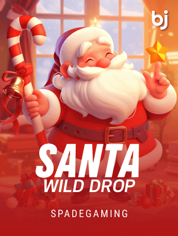 Santa Wild Droppng game icon
